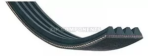 Ремень 1245J5 EL 1195mm Whirlpool 481235818174 C00375540